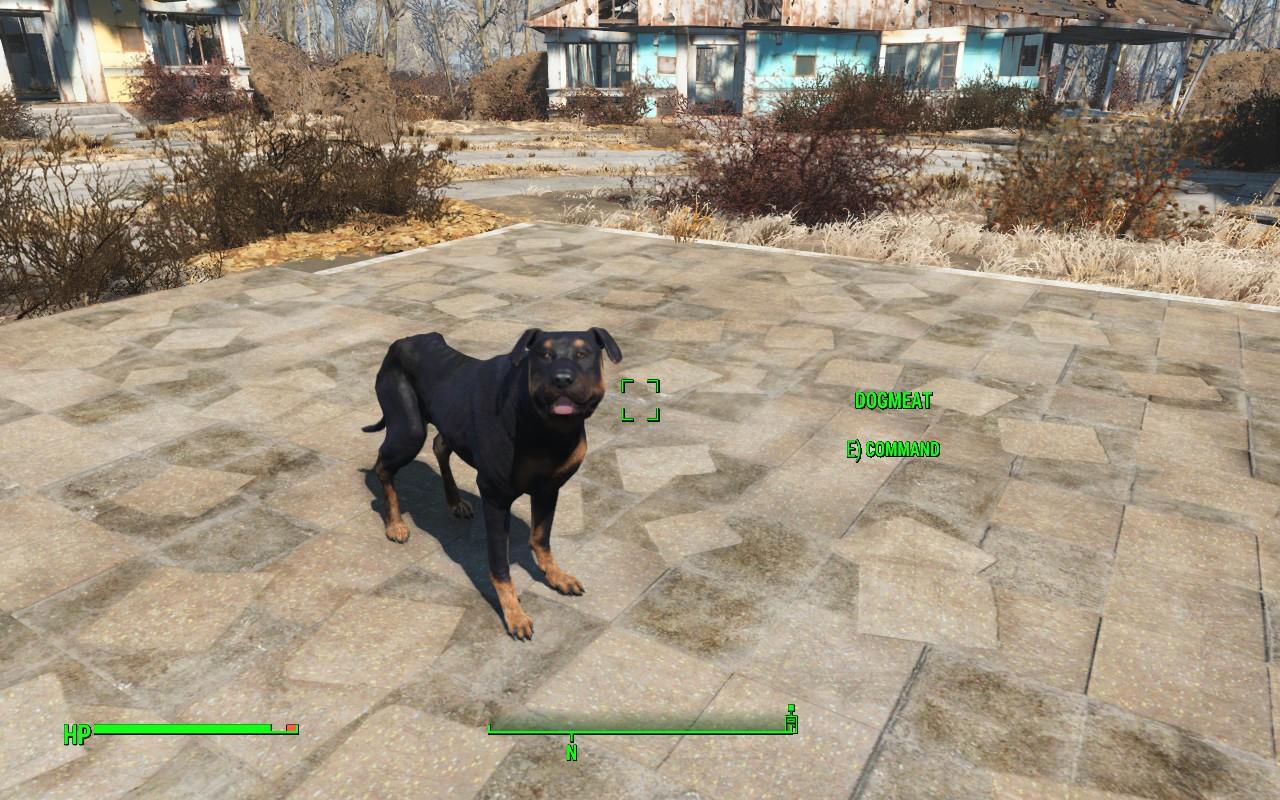 Fallout 4 на ps4 пропала собака (119) фото