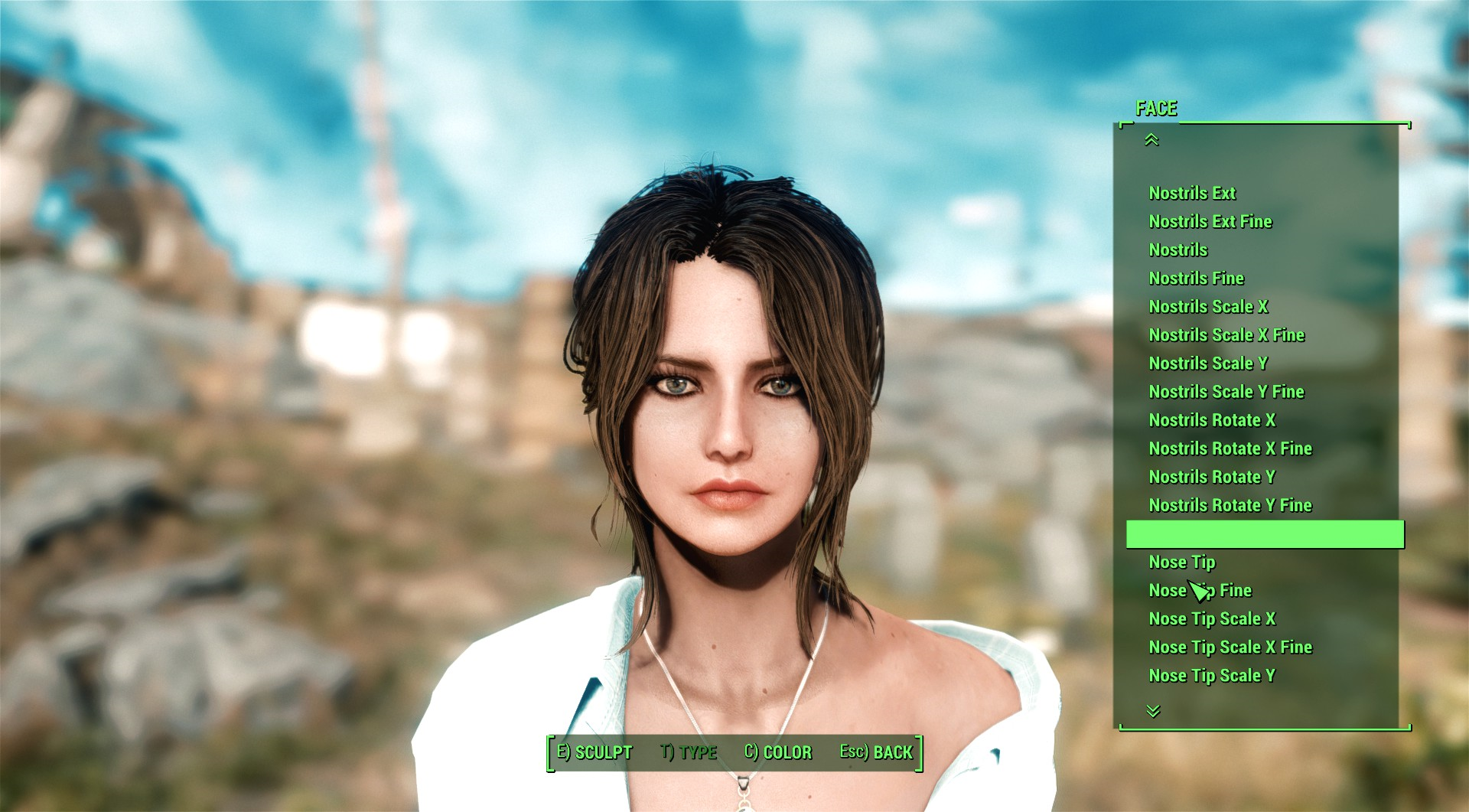 Fallout 4 looks menu presets (119) фото