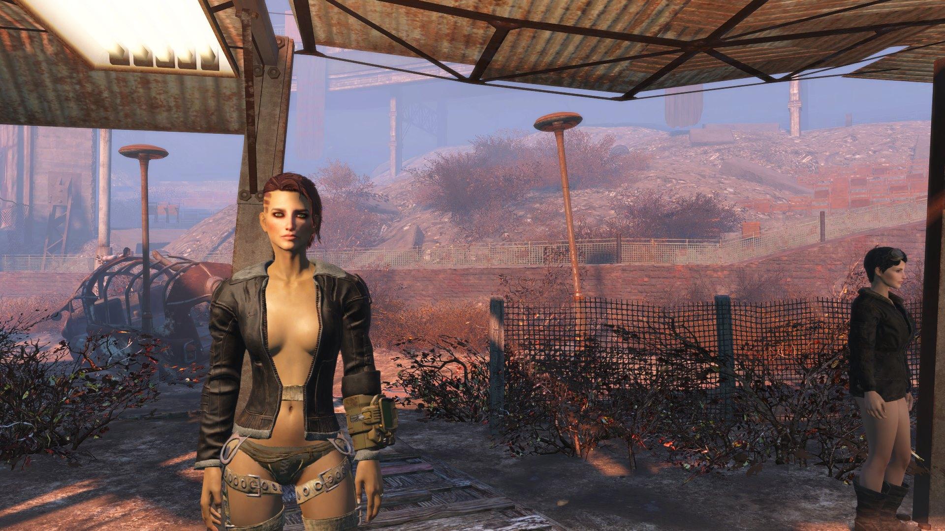 Fallout 4 реплейсер картин для поселений 18 фото 15