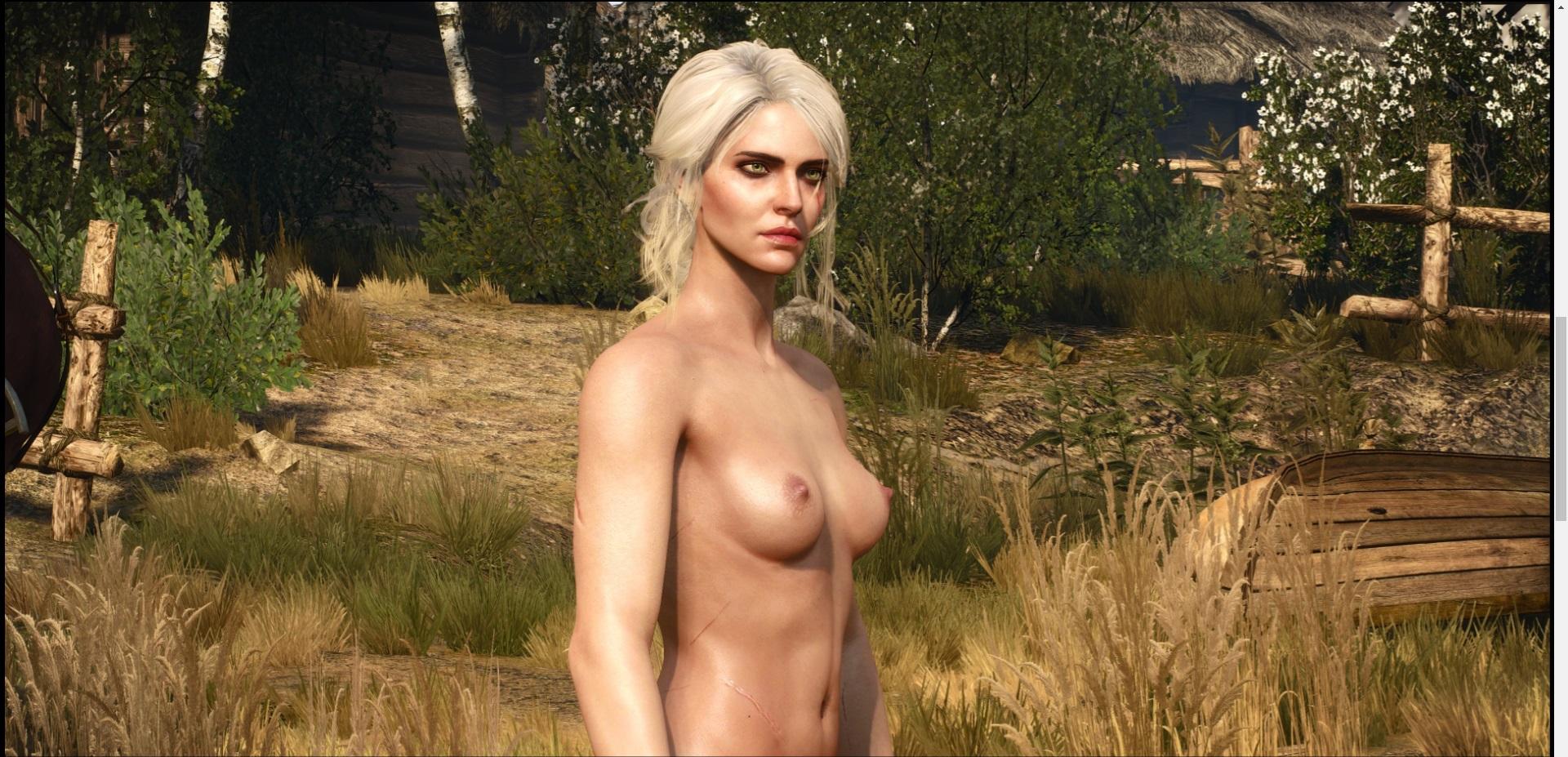 The witcher 3 all quest objectives фото 91