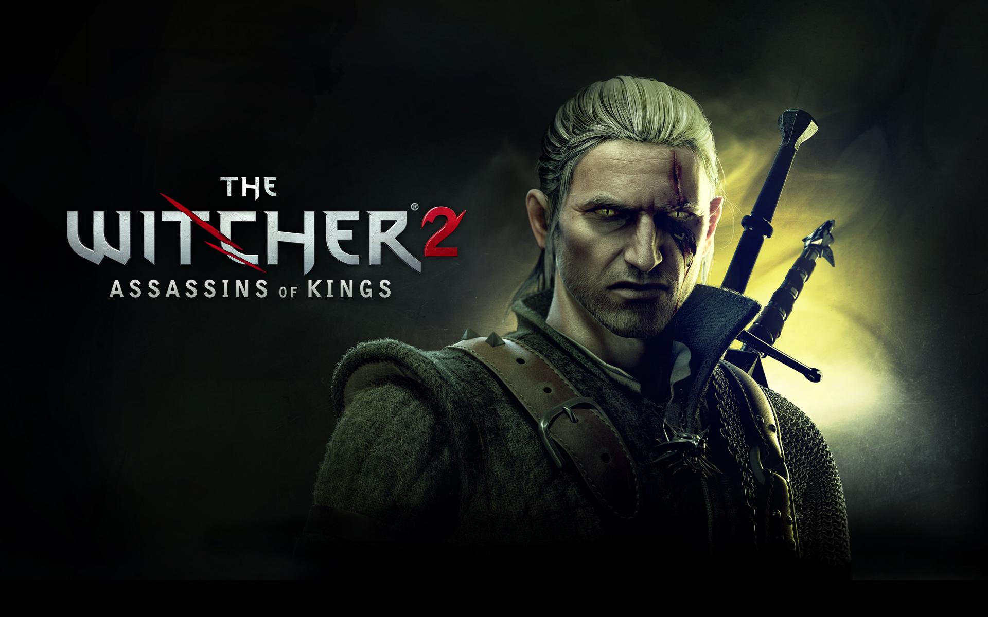The witcher 2 assassins of kings стим фото 37