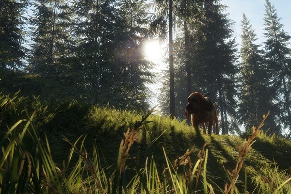 The Hunter: Call of the Wild - Bloodhound