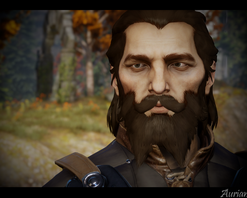 Dragon Age: Inquisition "Refined Blackwall"