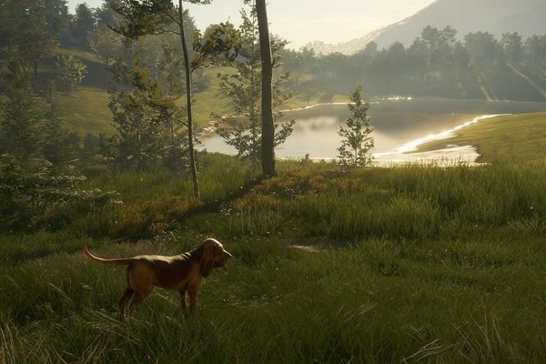 The Hunter: Call of the Wild - Bloodhound