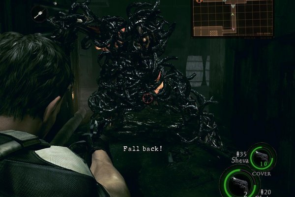 Resident Evil 5: Untold Stories