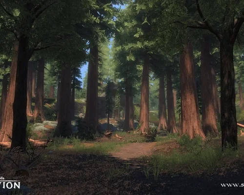 На новых скриншотах ремейка Oblivion на движке Skyrim показали лес и водопад